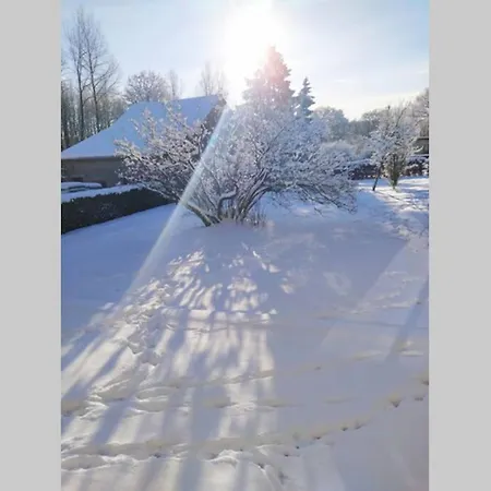 Le Repaire Ardennais * Rossart